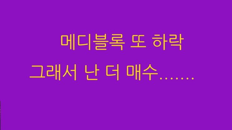  메디블록 또 하락 ...하지만 난 더 매수했다