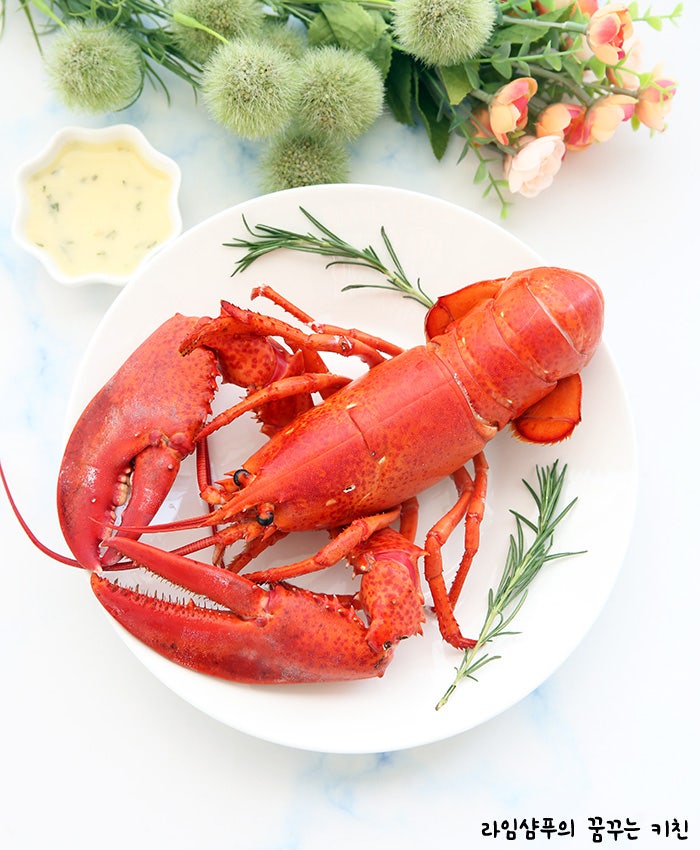 랍스터 찌는법 손질 소스 라면까지 맛있는 랍스터 요리 : 네이버 블로그