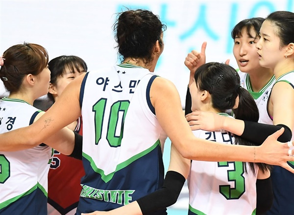 V리그 재개!! 하지만, 가능할까??(여자배구재개, 배구코로나중단, 배구코로나확진, 도로공사 인삼공사)