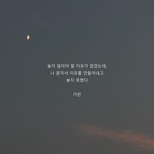  정밀아 - 꽃