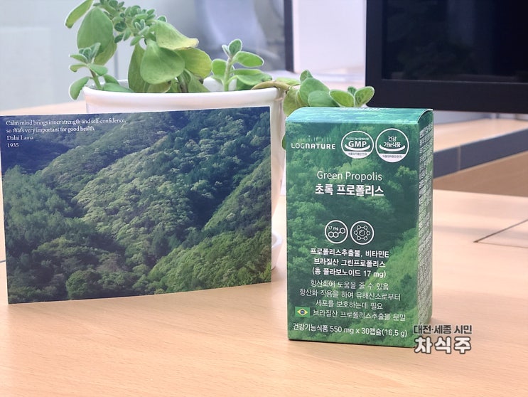  로그네이처 그린프로폴리스 면역력을 위한 항산화 영양제