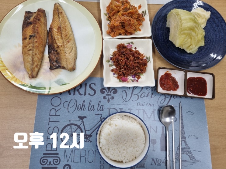  식이조절 다이어트, 간헐적단식(16:8)_17