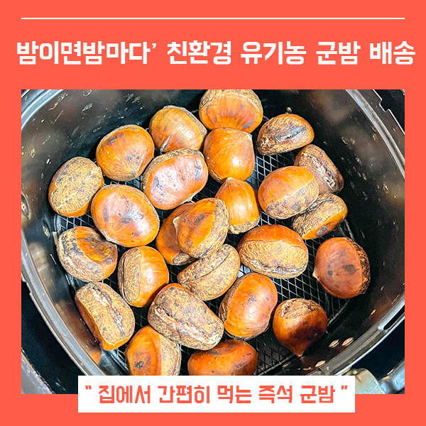  간편하게 집에서 먹는 군밤 햇밤 (feat.밤이면밤마다 냉동 군밤 )