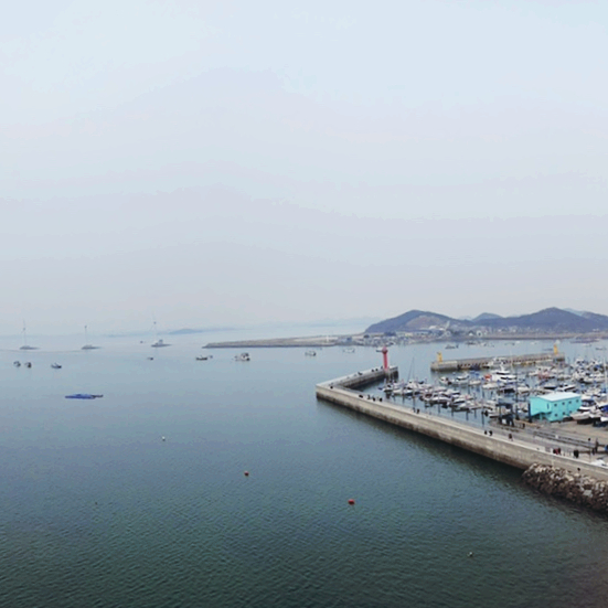  전곡항 서해랑 케이블카 구경 그리고 제부도 물때까지 알아봐요