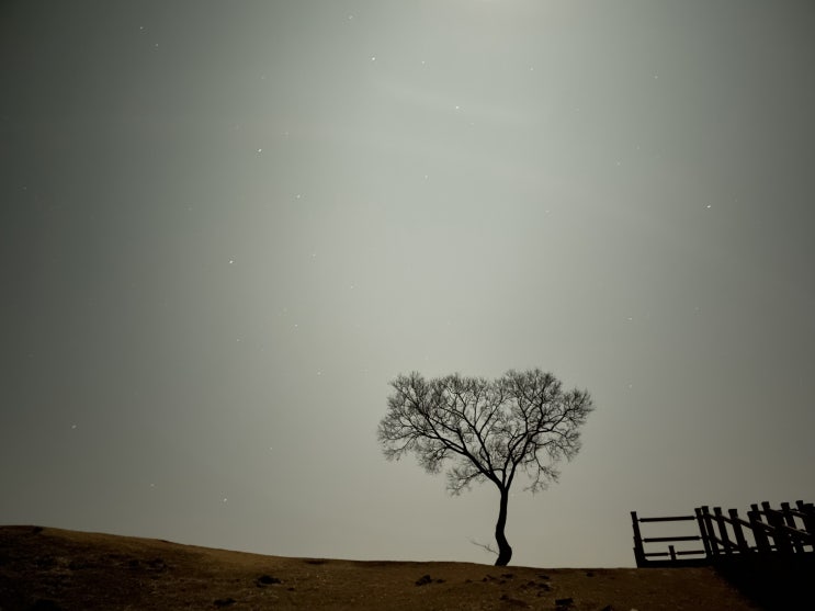 [여행] 별구경 명소, 연천 당포성, 서울 근교 데이트 드라이브 아이폰 12 미니로 사진 찍기 - 별 보러 가자 적재