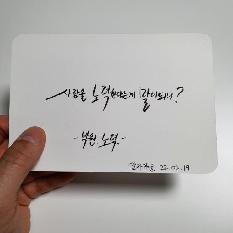  정말 좋아하던 노래 가사 써봤어요. 박원 노력. 알파카윤의 12번째 캘리그라피.