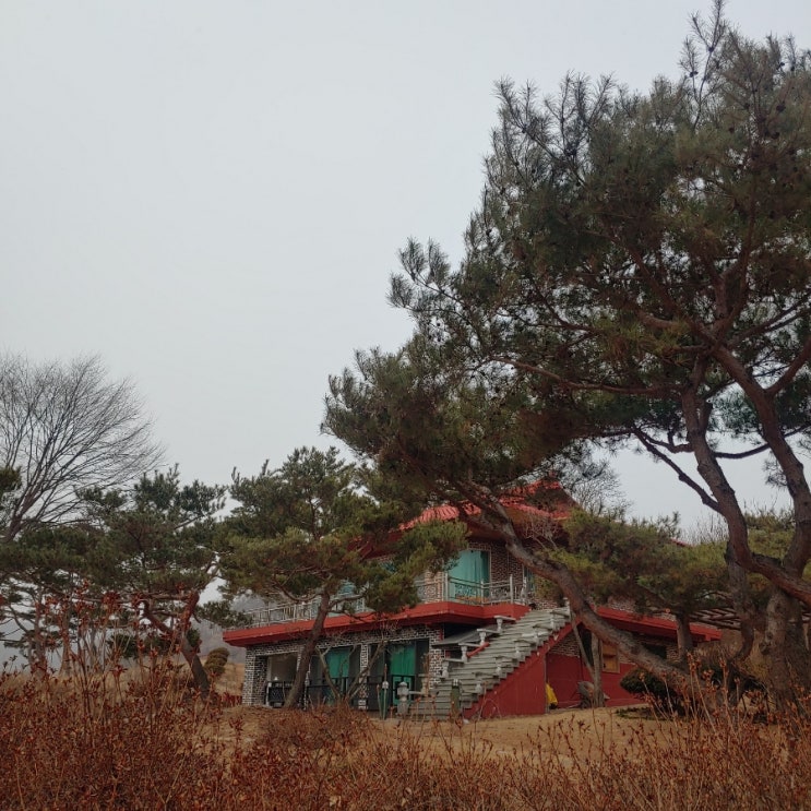  추억하고 싶은 주말 _ 하루가 바쁜 월용리 