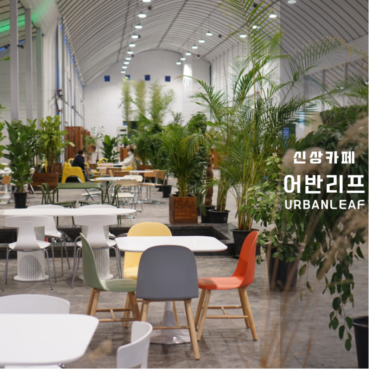  어반리프 플랜트핏 후기 (어반리 3호점) 용인 동탄 힐링 가능한 신상 카페