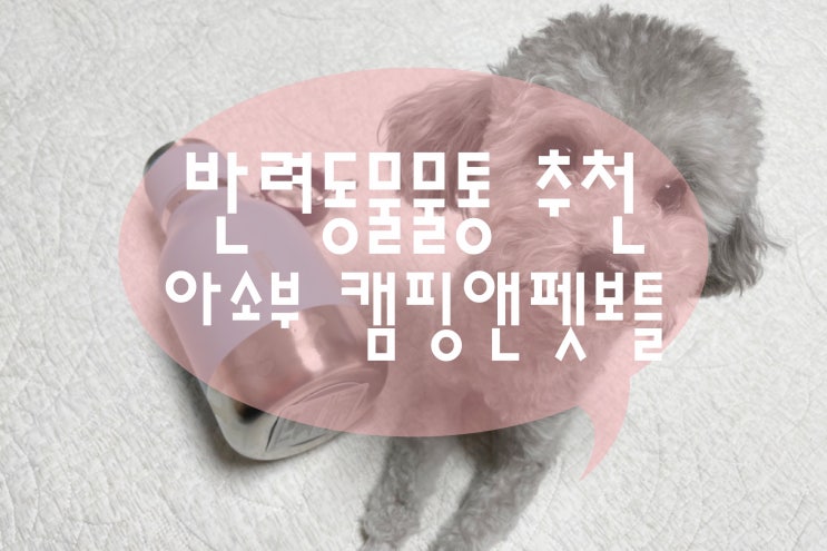  크리스피 크림 도넛 아소부 텀블러 캠핑텀블러 캠핑 앤 펫보틀