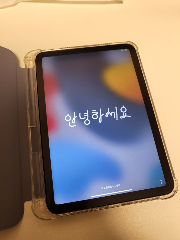  아이패드 미니6 256GB Wifi 구매후기 !