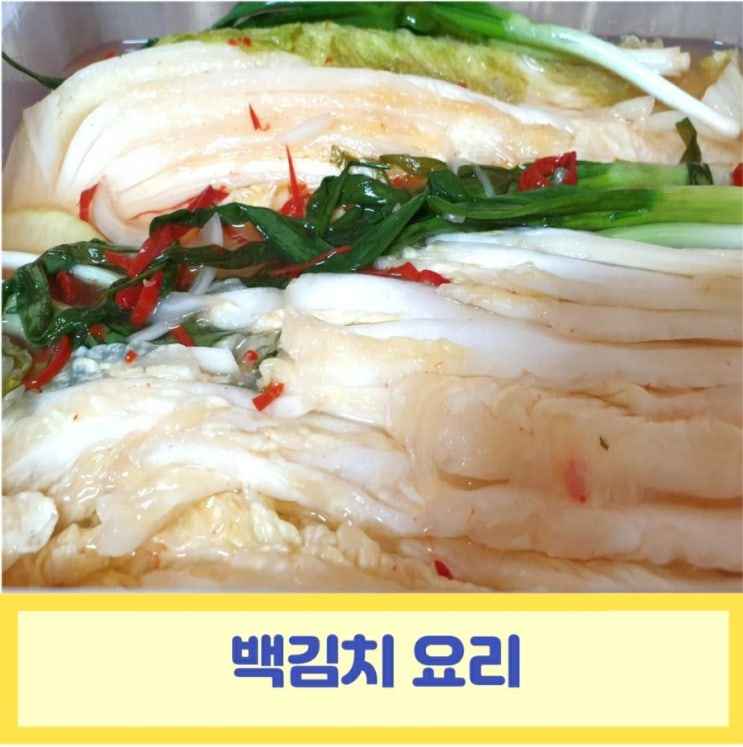  백김치 요리 지금 먹기 좋은 백김치 담그는방법