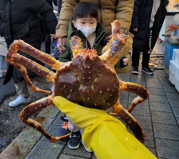  차사고 + 일정망함. 엉망 진창 토요일.