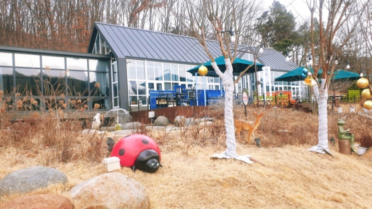  마음껏 뛰어놀 수 있는 도토리숲 키즈파크