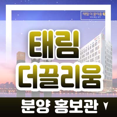 태림더끌리움 김포 구래동 하이엔드 아파텔 분양가 및 모델하우스 김포 골드라인 한강신도시 정보!