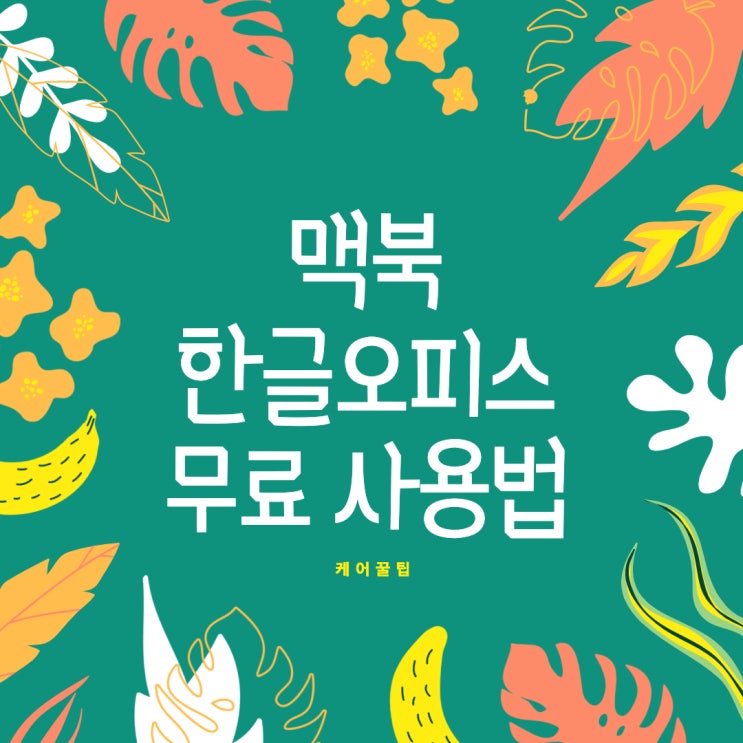  [케어 꿀팁] 맥북 한글오피스 무료로 사용하는법 알아보자!