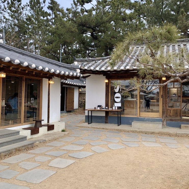  [경주] 카페솔 - 넓은 마당이 있는 한옥 + 자연의 힙한 조화! 황리단길 베이커리 카페