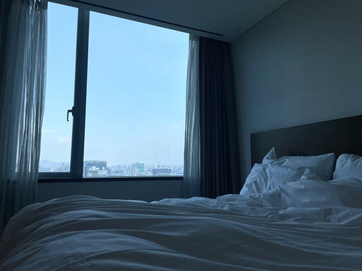 롯데시티호텔 명동 투숙후기, 저렴하게 호캉스 다녀오기 대성공 (ft. 레이트 체크아웃)