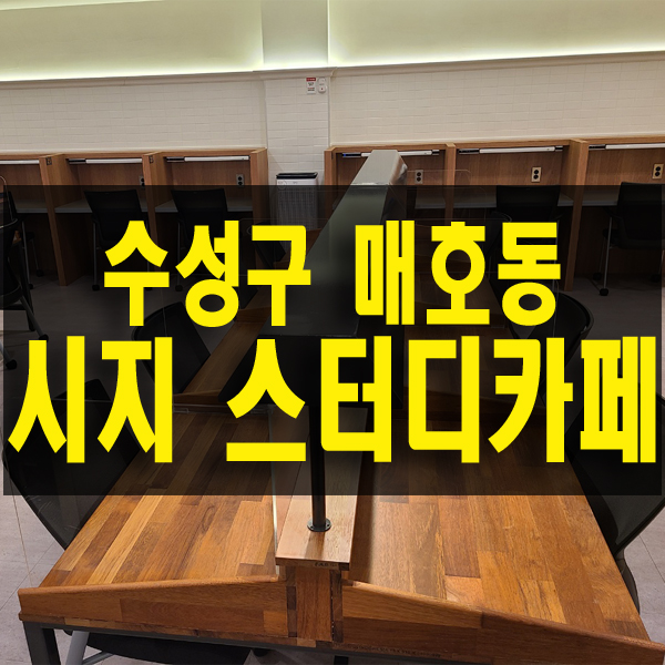  대구 수성구 매호동 시지 스터디카페 더파고 내 공부 맛집