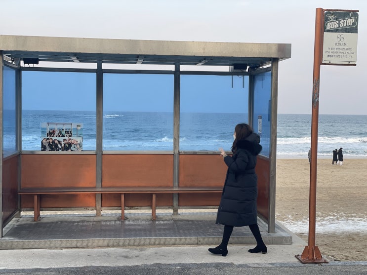 주문진 가볼만한 곳 bts 정류장 주문진 가볼만한 곳 bts 정류장