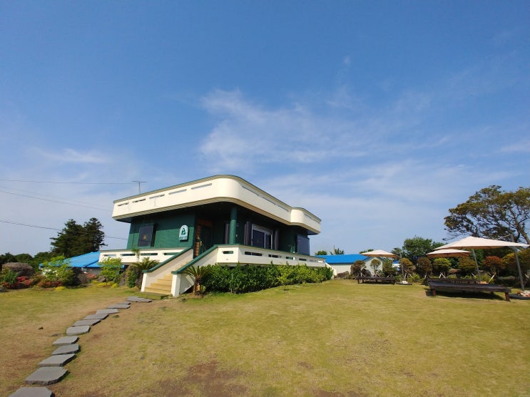 제주도 카페 원탑 송당리 풍림다방 제주도 카페 원탑 송당리 풍림다방