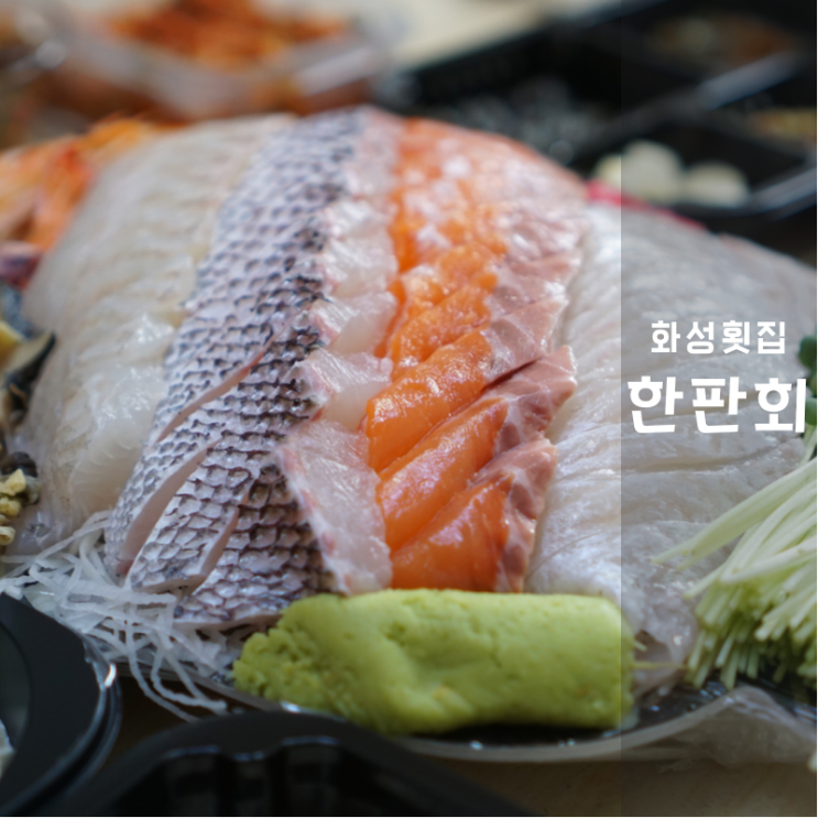  동탄회포장 잘하는 한판회 소 사이즈로 맛나게 배 터지게 먹은 후기