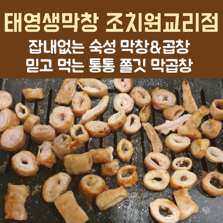  [세종] 믿고 먹는 조치원고깃집 '태영생막창조치원교리점'