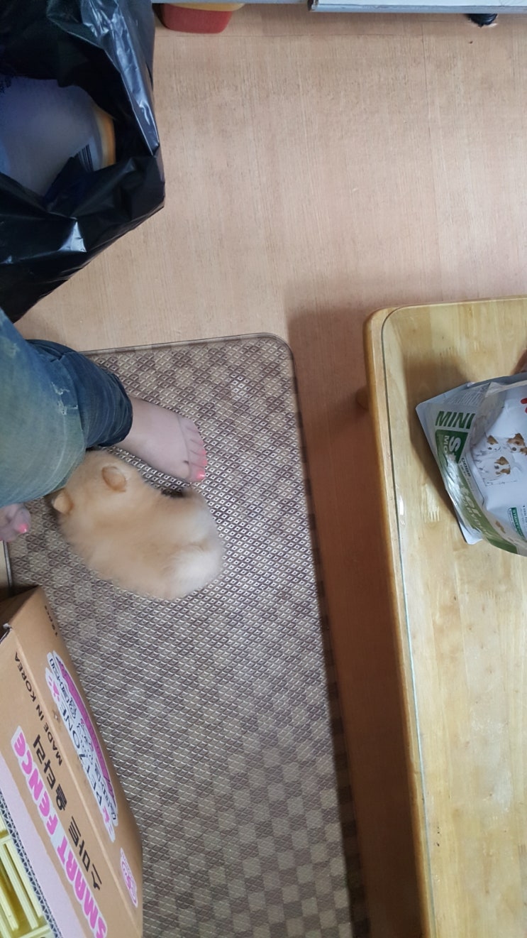  울 사랑이 애기애기할때