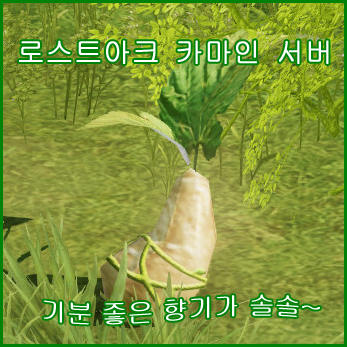  [로스트아크] 로아 영지 상단 퀘스트 (ver.에포나 평판)