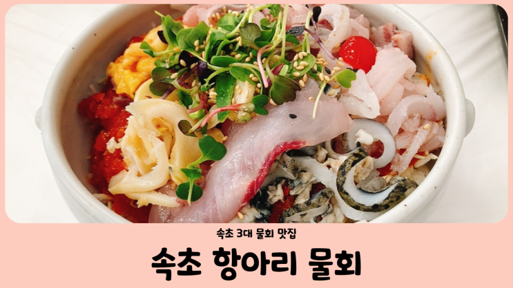  속초 3대 물회 맛집 속초 항아리 물회 (항아리 모듬 물회, 홍게살 비빔밥)