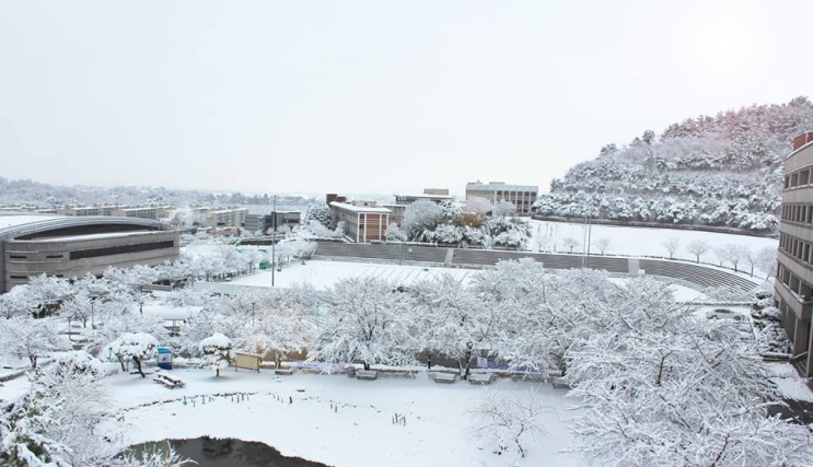 서라벌대학교 문화관광학부 악기제작과 서라벌대학교 문화관광학부 악기제작과