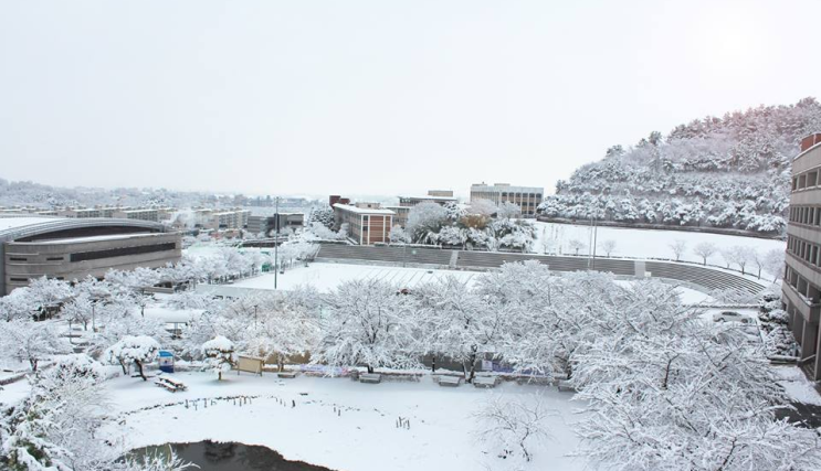 서라벌대학교 문화관광학부 악기제작과