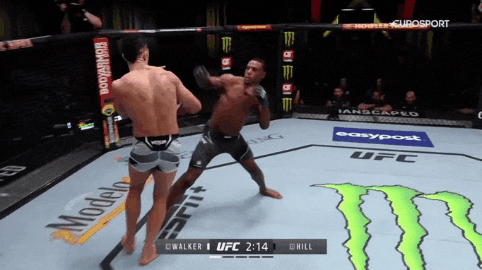 UFC 베가스 48: 조니 워커 vs 자마할 힐 리뷰(GIF) UFC 베가스 48: 조니 워커 vs 자마할 힐 리뷰(GIF)