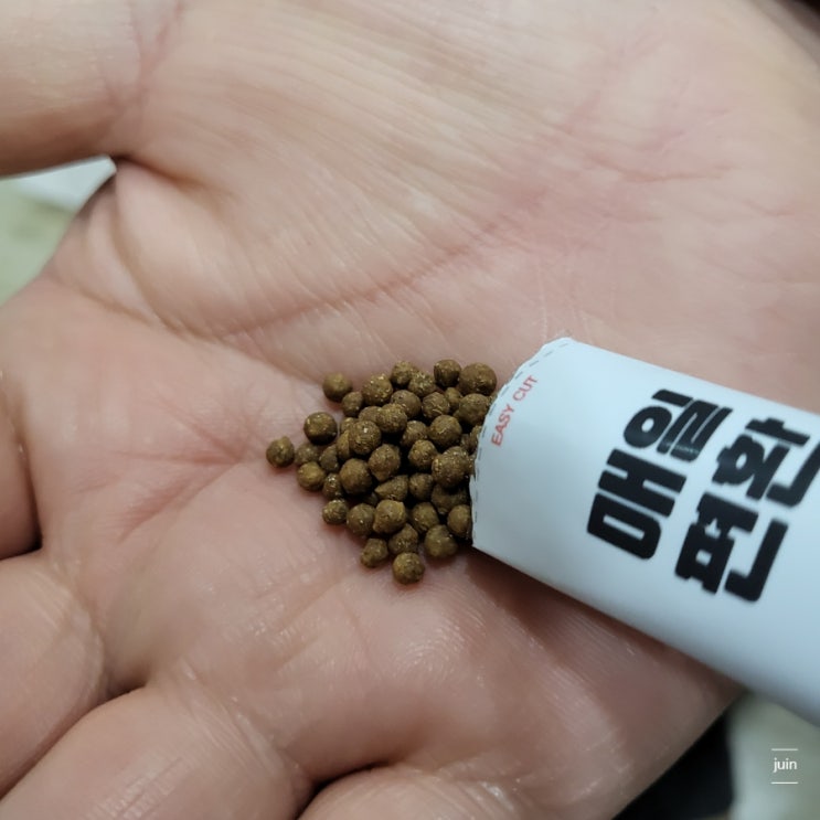 양배추즙을 찾다가 더욱 편리해서 먹게 된 양배추환 매일편환