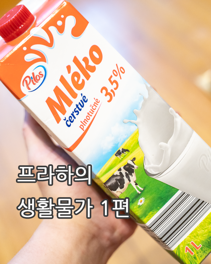  프라하의 생활물가 마트 1편 by 석영작가