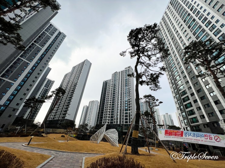  [후기] 인천 검단신도시 임장 후기! 민간참여공공분양 아파트, 호반 써밋1차, 푸르지오 더베뉴, 파라곤보타닉파크,  금호 어울림센트럴, 우미린더시그니처 방문!