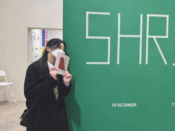  k현대미술관 데이비드슈리글리 전시회 관람 후기