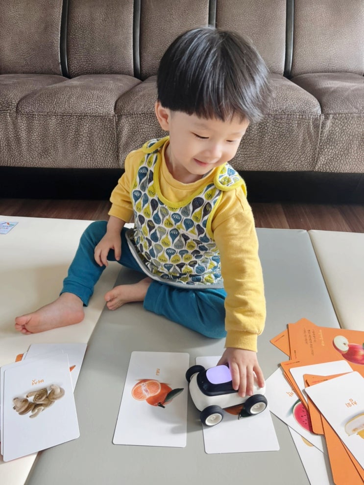 한솔교육핀덴 유아교구, 아기낱말카드 특장점과 유아영어교육 놀이팁 소개