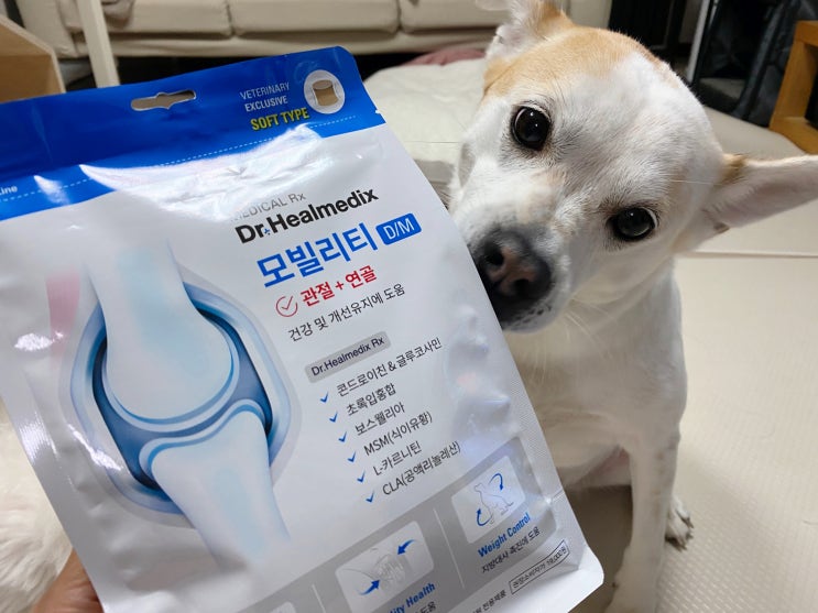  반려견의 관절 건강 간식, 닥터 힐메딕스 모빌리티 D/M