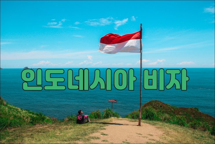  인도네시아 비자