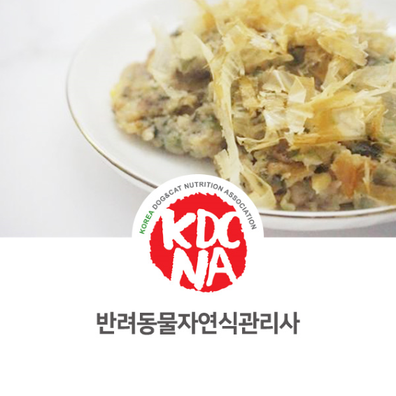  한국반려동물영양협회 반려동물 자연식관리사 과정 안내 [이지안펫영양사/반려밥상/펫푸드자격증과정/펫푸드교육/강아지화식/전주/창원/광양/순천/군산_968]