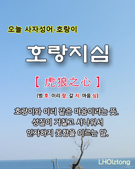  [781] 오늘 사자성어 호랑지심(虎狼之心)의 뜻은?