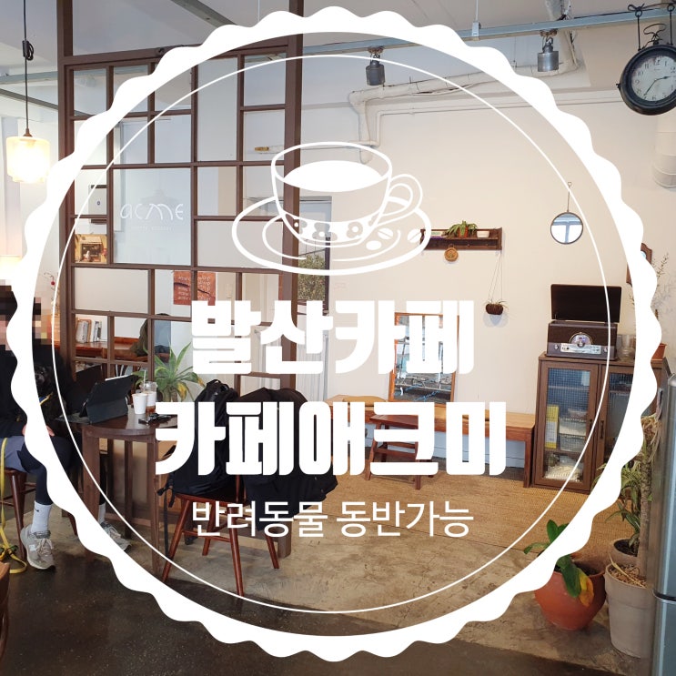  발산카페 카페애크미 디저트와 커피 맛 좋은 반려동물 동반 로스터리카페