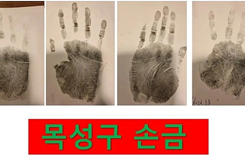 솔로몬인력 이미지