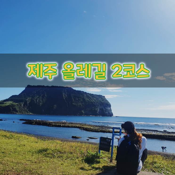 올레길 2코스 여행 [나홀로제주] 광치기해변, 식산봉, 제주동마트, 대수산봉, 혼인지, 온평포구