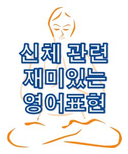  신체 관련 재미있는 영어 표현들 1