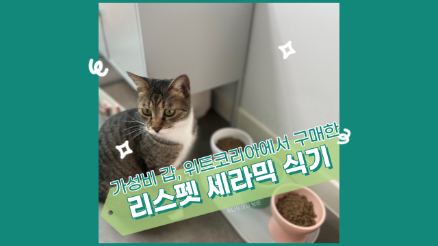 리스펫 클래식 세라믹 식기, 고양이 밥그릇 중 가성비 최고!