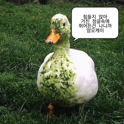  이미 지나가버린 방학 ~..
