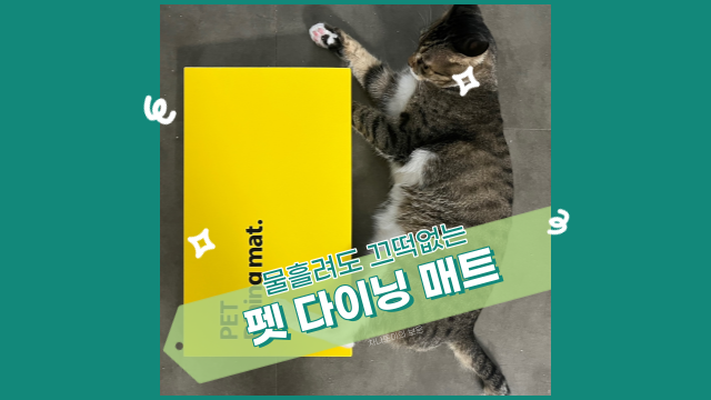  펫레스트 실리콘 다이닝 매트, 물 흘려도 끄떡없겠어요!