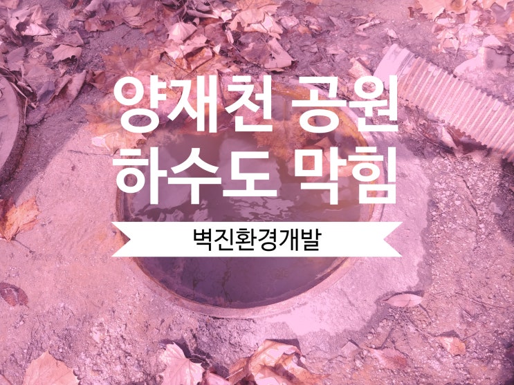  서울 서초구 공원 하수도 막힘 - 나무뿌리 잔혹사 편