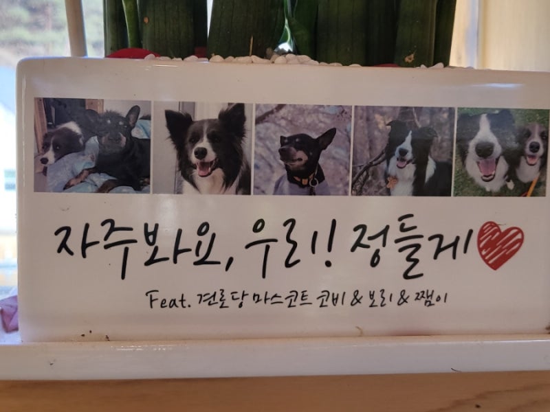 사진 4
